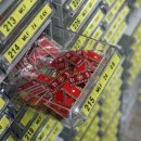 구로-구로-구로-2226 이미지