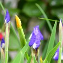 보라경로당 이미지