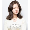 일동미용실 이미지