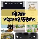 백설공주 에스테틱 이미지