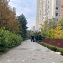 이사짐센터 비용 정리 아파트 포장이사 비용 알아보는 방법