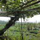 백동농장 이미지