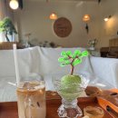 좋은소나무(fine pine)
