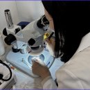 오티콘보청기대전대덕점 이미지