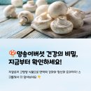 요리뽑고조리뽑고 | 양송이버섯 효능 및 부작용 영양성분 먹는법