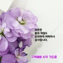 예실목장 이미지