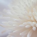 근로복지공단 대전병원 장례식장 이미지