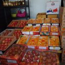 태양청과 이미지