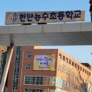 능수초등학교 Daum카페
