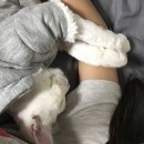 이*봉 - 안양시 만안구 충훈로83번길 | 이*봉