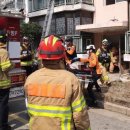 연기동물병원 이미지