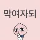 (주)지피스튜디오 | LIVE WIRE EP.12