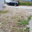 H2410 Daum카페
