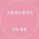 지에스25 고촌센트럴자이점 | [김포 줍줍] 고촌센트럴자이 미분양