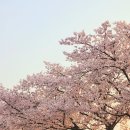 길푸드 이미지