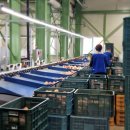 새금산요양병원 | 고당도 부사 흠과사과 추천｜못난이사과 후기