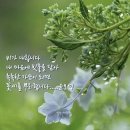 시원한주 이미지