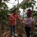 순곤농장 이미지