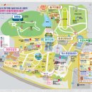 플라잉펫 | 경주 엑스포대공원! 실내 가볼만한 곳, 인피니티 플라잉 공연 / 애견동반 프리미엄 독채 풀빌라, 펫...