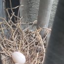 앞동산농장 이미지