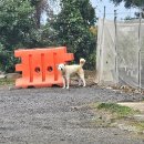 미림목장 | 제주도 여행 EP.2 (겨울 제주도 서귀포 갈만한 곳/ 번네식당 후기/ 올레시장 맛집 추천/ 제주 아쿠아리움)