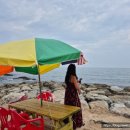 어달해변 이미지