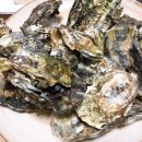 우성수산 이미지