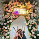 머스트윈 복싱 이미지