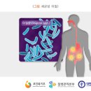 세균성이질 shigellosis , 細菌性痢疾 이미지