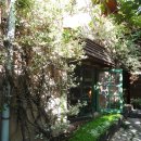 고가네칼국수 이미지