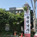 정윤기 황칠낙지 이미지