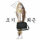 당근약국 이미지