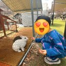 수예몽 | 작은 동물원 느낌, 백운호수 브런치 카페 [수예몽] 가격 및 솔직후기