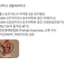 루트헬스 | 친절하고 정확하게 자세 봐주는 강우석 트레이너님이 계신 <독립문 PT 더루트짐> 방문 후기