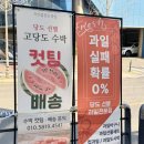 자연을담은청과 - 포항시 북구 초곡지구로58번길 52 | 자연을담은청과