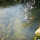 두산농장 이미지