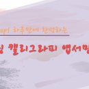 힐링 캘리그라피 이미지