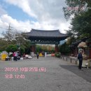 감동푸드 | 밥도둑구운김 풍미푸드반찬 즉석구이김 감동 후기