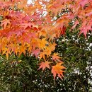 선학산전망대 이미지