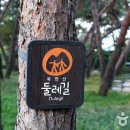 솔밭공원 Daum카페