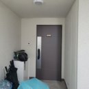 성우오스타 이미지