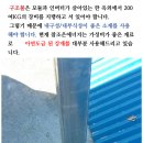 참조은태양광발전소 네이버블로그