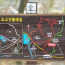 충남댁