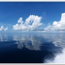 하늘과바다 이미지