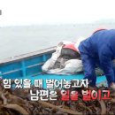 장정숙농장 티스토리