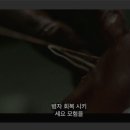 국내에 했습니다 런칭을 디즈니플러스 이미지