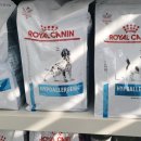 진접솔동물병원 이미지