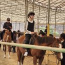 충무승마장 이미지