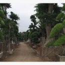 장주농장 이미지