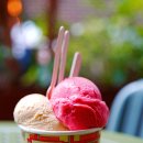 메시나 | 아이와 호주 해외여행 시드니 맛집 메시나 젤라또 맛추천